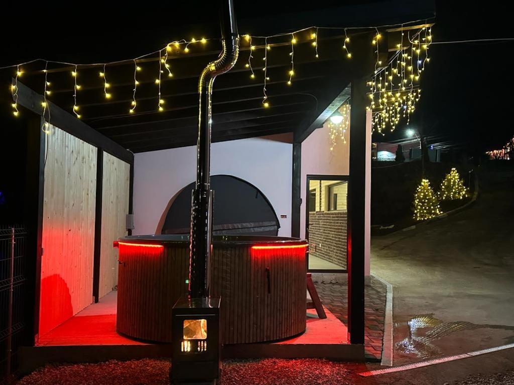 Pensiunea Auras Dorna-Arini Exterior foto